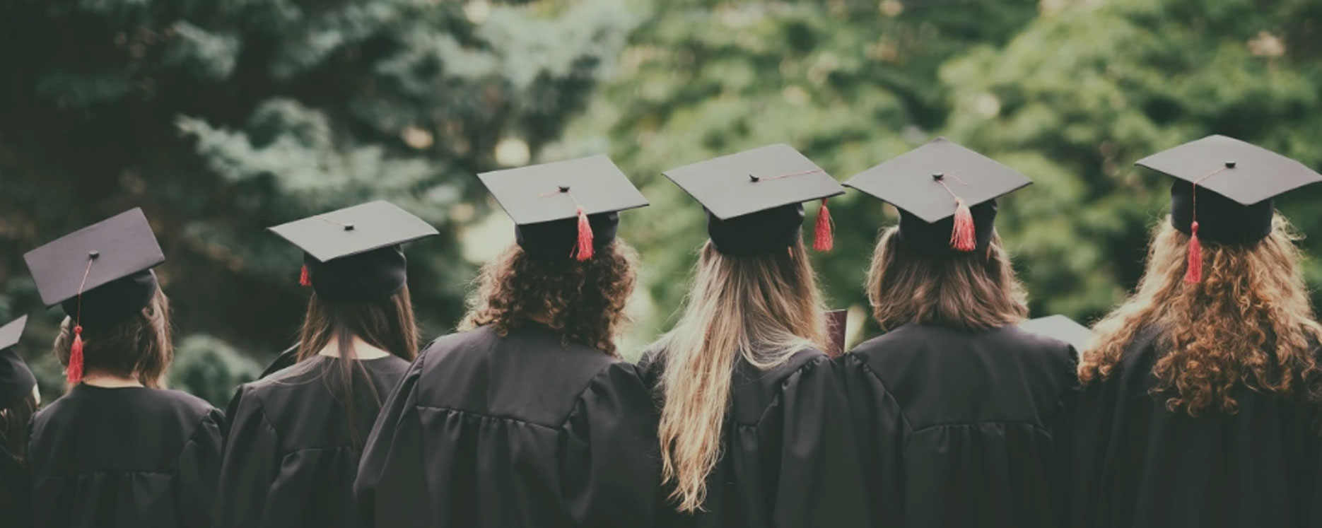 Ag���޼���(�й���)�ٷ���վ