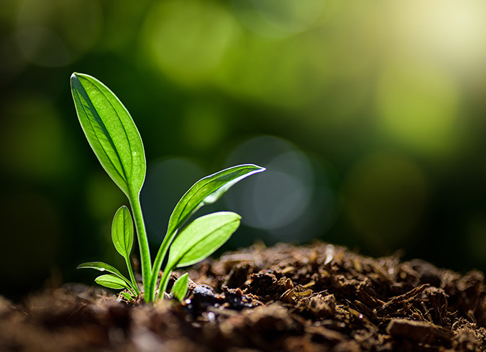 Ag���޼���(�й���)�ٷ���վ